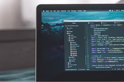 MySQL Developer
