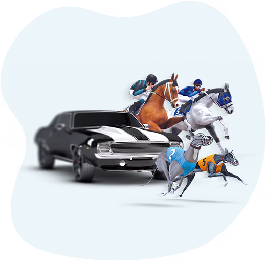 Virtual Betting Game Development