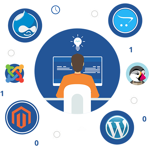 CMS Developer